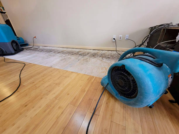 Professional Structural Drying technician working in Interlochen, MI